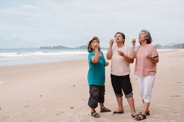 Senior Asian females blowing bubbles on a beach, joyful retirement, freedom, living. Ideal for...