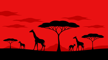 red savanna sky acacia tree silhouettes