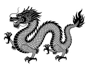 Traditional Chinese Dragon Illustration with Majestic Black Body on White Background 