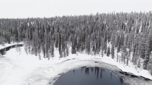 Aerial showing a snowy forest by a river