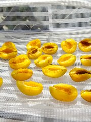 Naturally drying apricots under the sun on the balcony