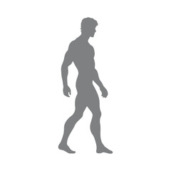 Silhouette of male body, walking

