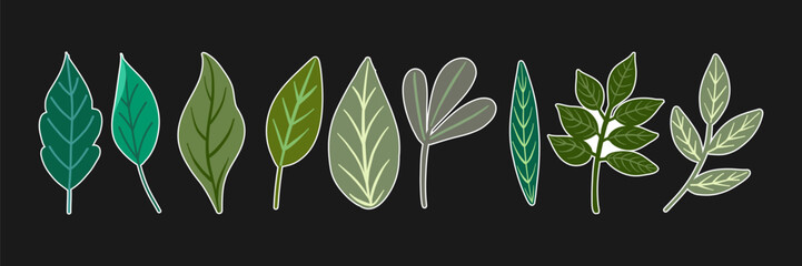 Vector illustration featuring a collection of stickers with diverse leaf shapes. Each leaf showcases different colors and shapes with white outline