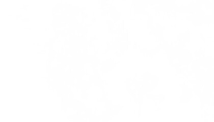 Realistic white clouds fog overlay isolated on the transparent background