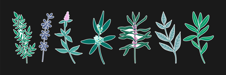 Set of stickers with diverse herbs and wildflowers with white outline. Vector illustration
