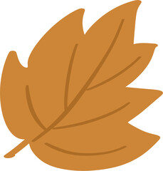 가을 단풍 낙엽