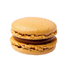 Single, light-brown macaron, filled with dark chocolate