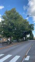 Summer days in sweden