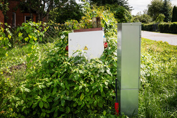 Overgrown Electrical Utility Box Near Residential Area – Safety Hazard and Infrastructure Maintenance Concept
