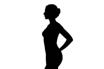 Elegant Swan Gliding Gracefully bird water