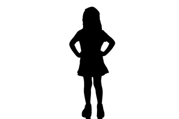 Fototapeta premium Elegant Swan Graceful Neck Curve bird water bird