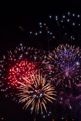 A vibrant display of fireworks illuminates the night sky with bursts of red, gold, and blue