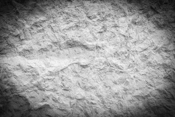 Textured Black-and-White Abstract Surface with Natural Patterns. Vignette Effect.