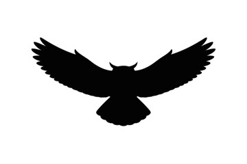 Obraz premium Owl in flight silhouette bird flying