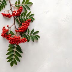 Red rowan berries with green pinnate leaves clustered on slender branch, placed on neutral beige backdrop to evoke autumn’s vivid freshness