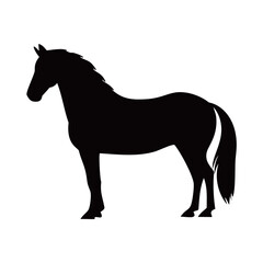 Silhouette of horse

