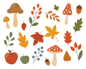 Collection of various autumn leaves. Hand-drawn. Maple leaves, fly agaric mushrooms, acorns, rosehip berries. Fallen leaves. Botanical vector illustration, isolated white background