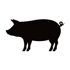 Silhouette of pig

