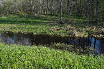 a narrow river between banks with green grass