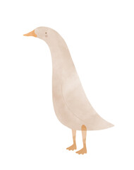 Hand Drawn Vector Illustration Of Sweet Little Goose. Nursery Art With Lovely Goose Isolated On a White Background. Drawing Of Funny Bird. Gender Neutral Baby Shower Print. Kids Room Decoration. 