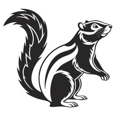 black and white wolf , animal