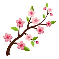 cherry blossom branch