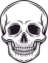 Fototapeta premium Black and white illustration of a human skull with dark eye sockets and teeth skeleton