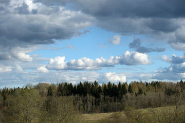 landscape with trees and clouds