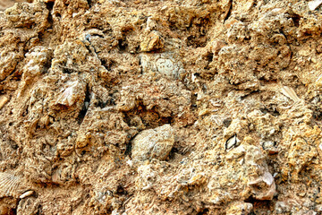 A rocky surface with a few small rocks scattered around
