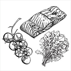 hand drawn vector illustration