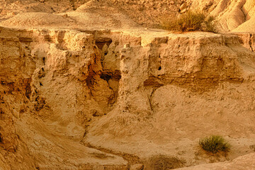 A rocky hillside with a small plant growing out of the ground
