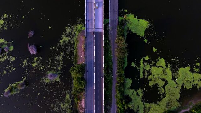 Aerial top-down view of the Chennai ECR bridge, showcasing vehicles crossing dark waters adorned with vibrant green algae, an essential South Indian coastal connection.