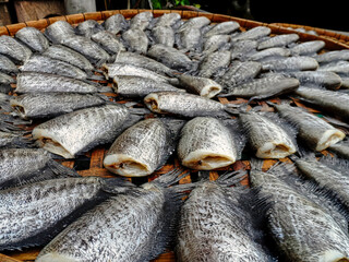 A large pile of fish is displayed on a wooden table