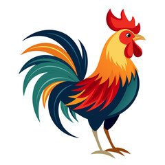 Fototapeta premium rooster isolated on white