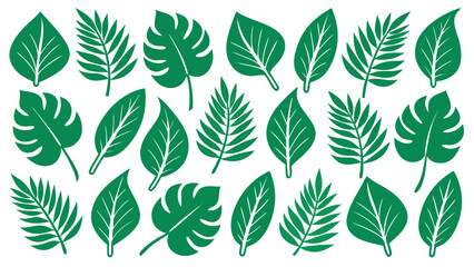 Obraz premium Green tropical leaves pattern on white background leaf