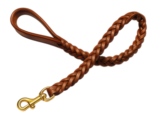 A leather leash with a braided design for walking pets around a private house.