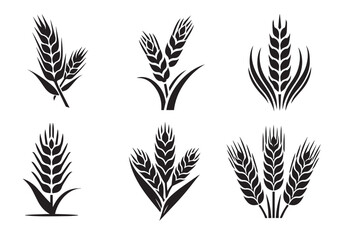 Agriculture wheat ear silhouette vector illustration Set
