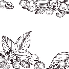 Vector frame of nuts, walnuts, macadamias, almonds, hazelnuts, cashews, tree leaves. All objects are hand-drawn with ink. Vector illustration for printing on food packaging. Vector illustration