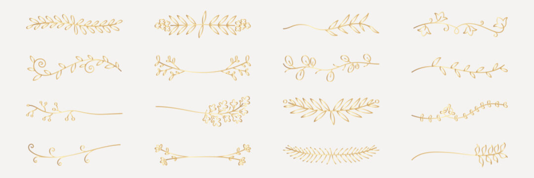 Vector set. Elegant gold floral dividers. Gold leaves and branches create delicate dividers. Perfect for invitations, gold-themed designs, and elegant decorations. Hand drawn ornament vector set.