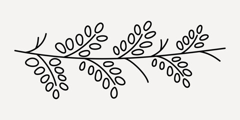Elegant botanical line art design, hand drawn vector
