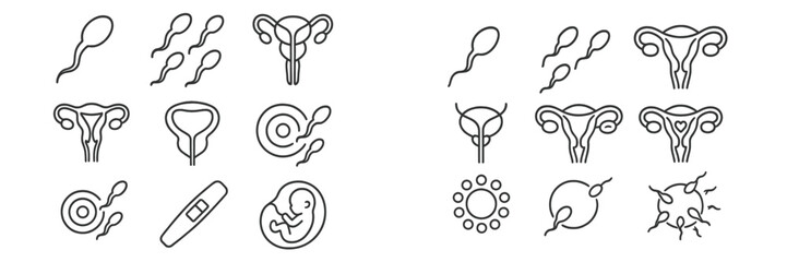 Diagram illustrating the human reproductive system, including sperm, egg, implantation, and early embryo development stages
