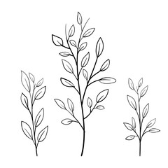 Hand-drawn Botanical Branches Vector – Minimalist Floral Line Art Elements