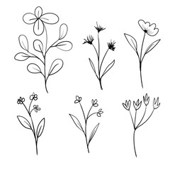 Hand-drawn Botanical Branches Vector – Minimalist Floral Line Art Elements
