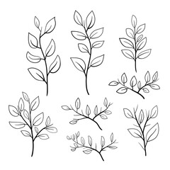 Hand-drawn Botanical Branches Vector – Minimalist Floral Line Art Elements