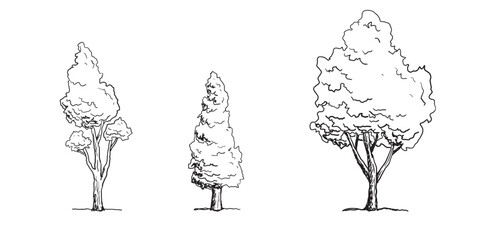 Hand-drawn Trees Vector Set – Vintage Forest Tree Sketches in Black and White.