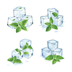 ice cubes with green leaves vector © MDSHAHIN