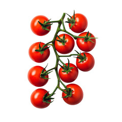 tomatoes isolated on white background