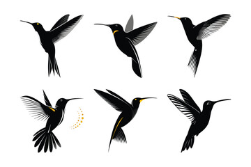 Obraz premium collection of birds of vector