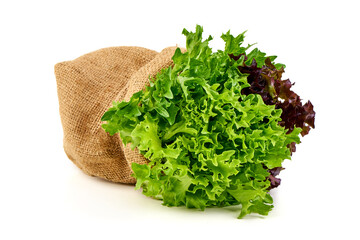 Lettuce Mix in Burlap Sack, isolated on white background