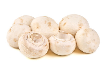 White Mushrooms, isolated on white background
